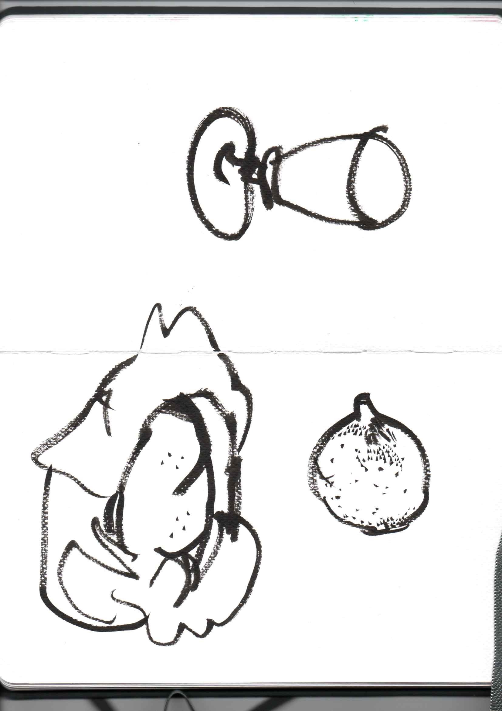 Dibujos — vasija y fruto