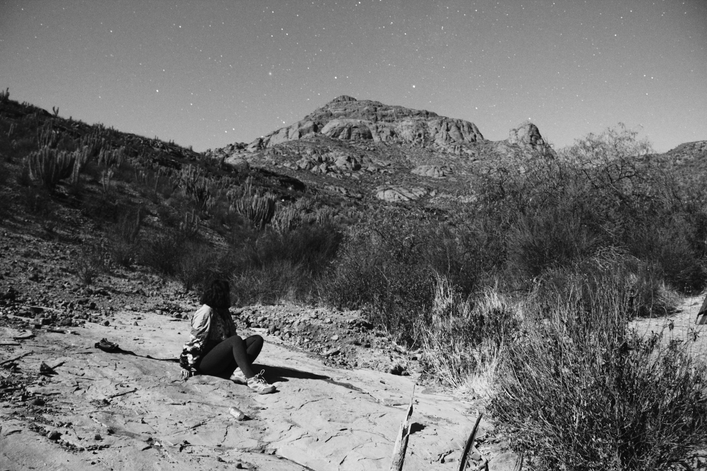 Territorio — paisaje desértico nocturno